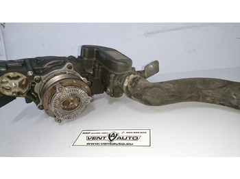 : imagen de cabecera