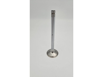 : imagen de cabecera