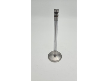 Motor y piezas LIEBHERR