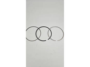 Motor y piezas LIEBHERR