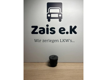 Cabina e interior MAN