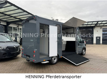 Camión para caballos Fiat Ducato *NEUWAGEN* ca.1100 kg Nutzlast: foto 3