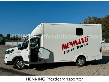 Camión transporte de ganado Maxus Deliver 3 - Sitzer: foto 5 Camión transporte de ganado Maxus Deliver 3 - Sitzer: foto 5