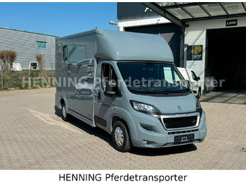 Camión para caballos Peugeot Boxer 3-Sitzer *NEUWAGEN* 1000 KG NUTZLAST: foto 2