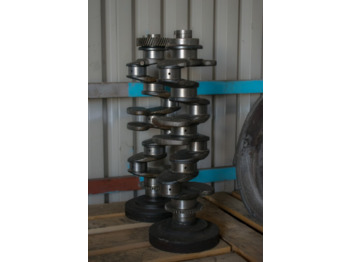 : imagen de cabecera