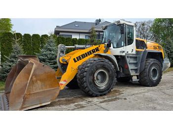 Cargadora de ruedas Liebherr 576 Xpower: foto 5