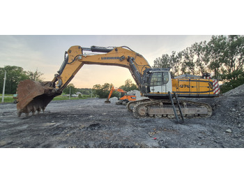 Excavadora de cadenas LIEBHERR R976 HD: foto 2