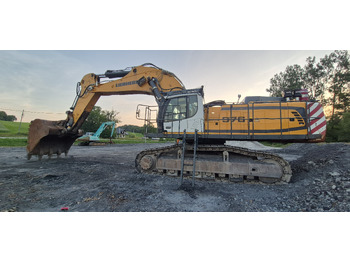 Excavadora de cadenas LIEBHERR R976 HD: foto 3