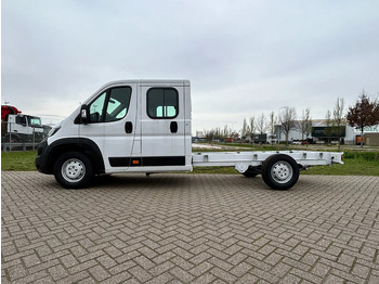 Furgoneta, Furgoneta combi nuevo Peugeot Boxer L3H2 - 2.0D Blue - 160 HP - 7 SEATS - NEW - 8 UNITS: foto 2 Furgoneta, Furgoneta combi nuevo Peugeot Boxer L3H2 - 2.0D Blue - 160 HP - 7 SEATS - NEW - 8 UNITS: foto 2