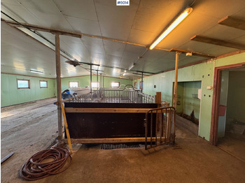 Maquinaria ganadera Catchment fronts and gates – space for 20–25 cows: foto 2