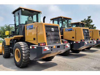 Cargadora de ruedas XCMG LW300KN