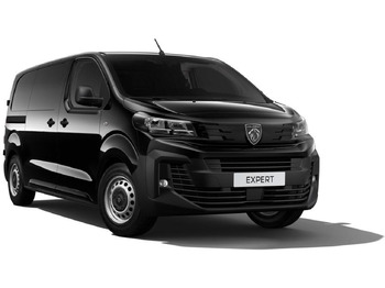 Furgón PEUGEOT Expert