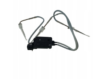 Silenciador/ Sistema de escape DAF XF 106