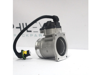 : imagen de cabecera