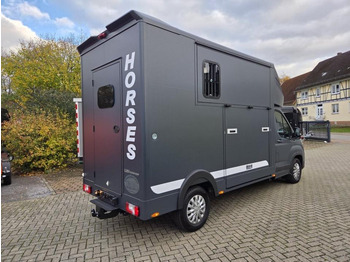 Camión para caballos MSG Stablehopper Pferdetransporter Pferdeanhänger Böckmann: foto 3 Camión para caballos MSG Stablehopper Pferdetransporter Pferdeanhänger Böckmann: foto 3