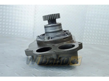 : imagen de cabecera