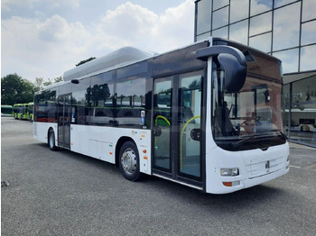 Autobús urbano MAN Lion's City A21