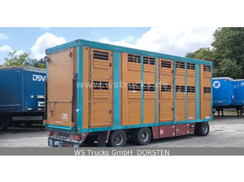 Remolque transporte de ganado Menke-Janzen Menke 2 Stock  Vollalu 8 m Hubdach Viehanhänger: foto 5