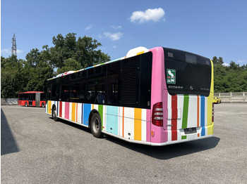 Autobús urbano N.1 MERCEDES BENZ CITARO O530 – Anno 2012: foto 5