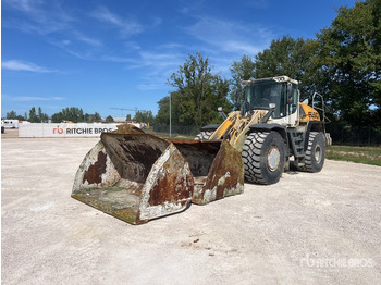 Cargadora de ruedas 2018 Liebherr L550X Power Chargeuse Sur Pneus Wheel Loader: foto 2