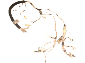 Cables/ Alambres CATERPILLAR