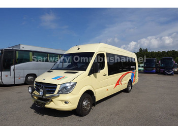 Minibús, Furgoneta de pasajeros Mercedes-Benz 519 CDI Sprinter *Automet*Euro6*21-Sitze*Klima*: foto 3