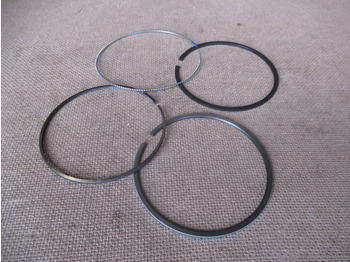 Pistones/ Anillos/ Bujes CNH