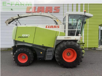 Cosechadora de forraje CLAAS jaguar 830: foto 2