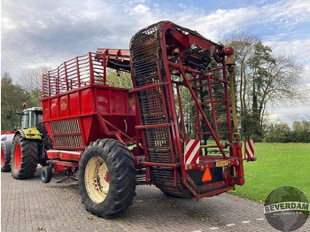 Cosechadoras de remolacha Gilles / Steenbergen / WKM Complete bietenrooi set: foto 3