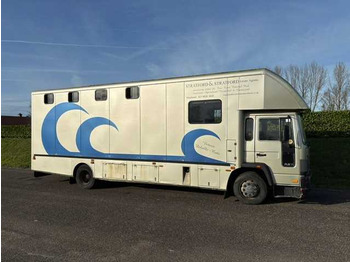 Camión 1993 VOLVO FL 612 TRUCK HORSE TRAILER: foto 3