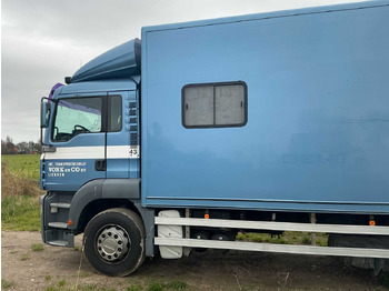 Camión 2004 MAN H09 CATTLE TRUCK: foto 5