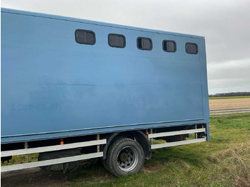 Camión 2004 MAN H09 CATTLE TRUCK: foto 4