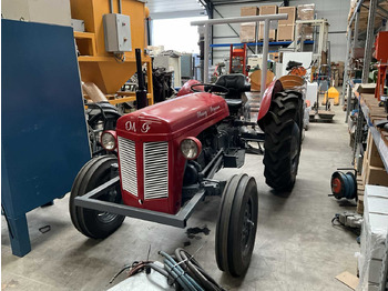 Tractor MASSEY FERGUSON