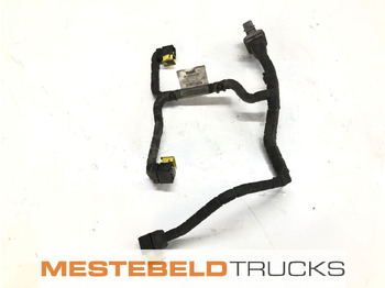 Silenciador/ Sistema de escape DAF