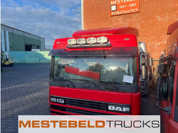 Cabina DAF
