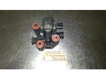 Silenciador/ Sistema de escape DAF