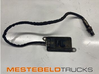 Silenciador/ Sistema de escape DAF