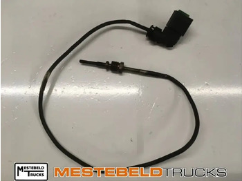 Silenciador/ Sistema de escape DAF