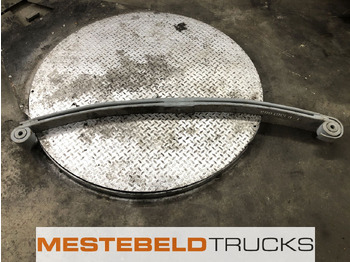 Bastidor/ Chasis DAF