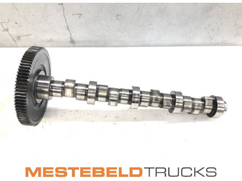 Motor y piezas IVECO