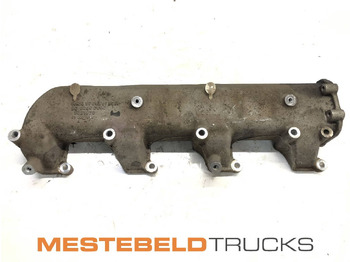 : imagen de cabecera