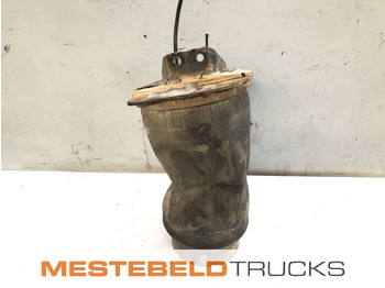 Bastidor/ Chasis MAN TGS