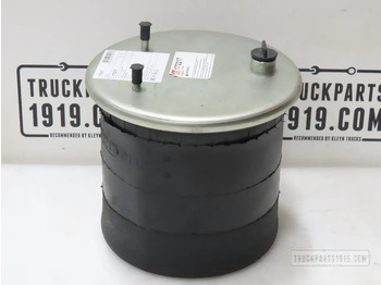 Suspensión neumática DAF