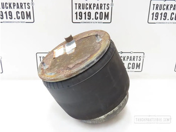 Suspensión neumática DAF