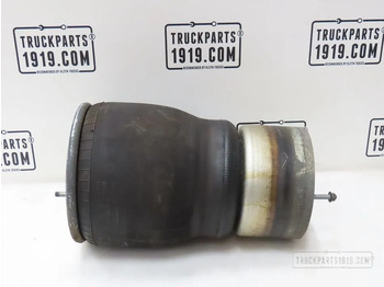 Suspensión neumática DAF