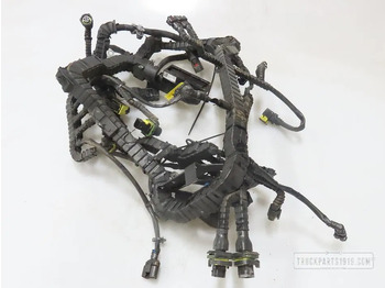 : imagen de cabecera