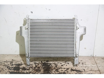 Radiador para Camión DAF LF Cooling System Intercooler DAF LF: foto 2