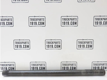 : imagen de cabecera