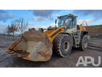 Cargadora de ruedas Liebherr L576 Xpower: foto 3 Cargadora de ruedas Liebherr L576 Xpower: foto 3