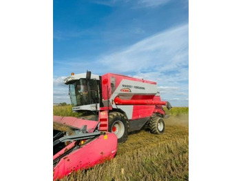 Cosechadora de granos MASSEY FERGUSON